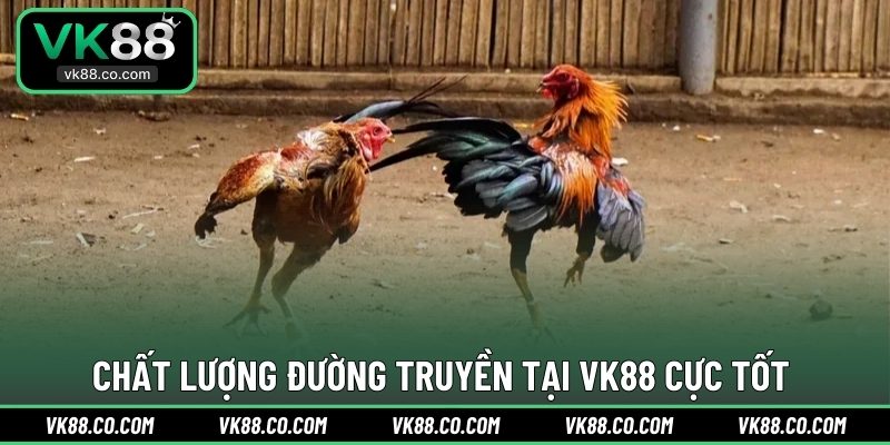 Chất lượng đường truyền tại VK88 cực tốt