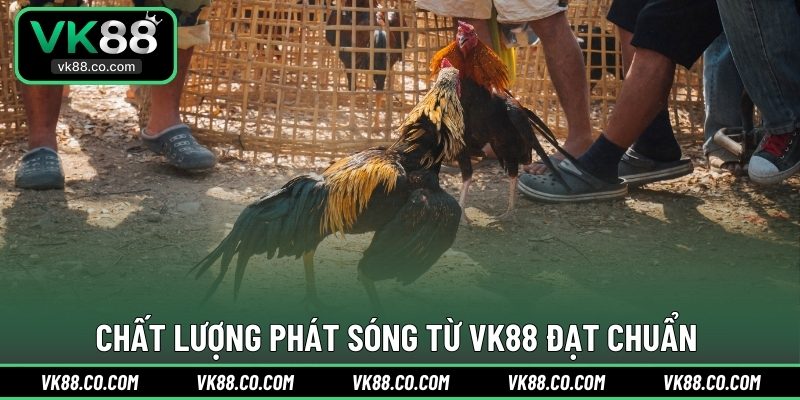 Chất lượng phát sóng từ VK88 đạt chuẩn