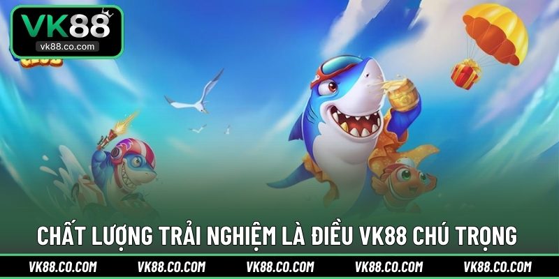 Chất lượng trải nghiệm là điều VK88 chú trọng