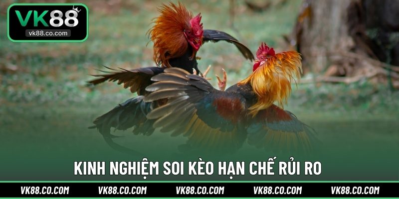 Kinh nghiệm soi kèo hạn chế rủi ro