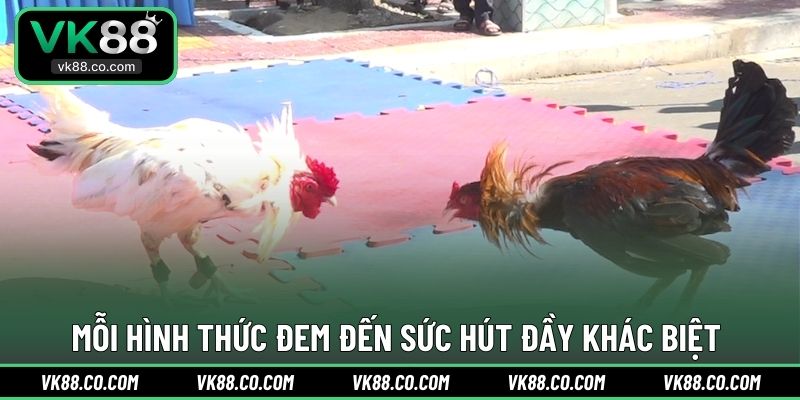 Mỗi hình thức đem đến sức hút đầy khác biệt