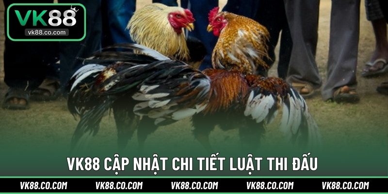 VK88 cập nhật chi tiết luật thi đấu